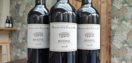Bandol, terroir of the mourvèdre grape